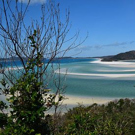 Landschap Whitsunday Eilanden van Bianca Bianca