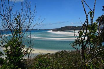 Landschap Whitsunday Eilanden von Bianca Bianca