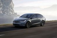 Tesla model X Plaid van Art Indi thumbnail