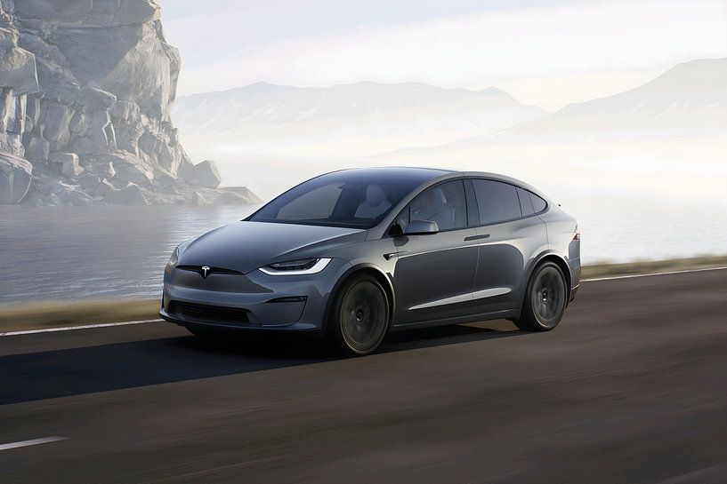 Tesla model X Plaid van Art Indi