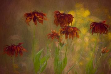 Fleurs dans le champ avec une belle lumière sur Francis Dost