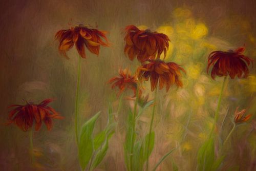 Fleurs dans le champ avec une belle lumière
