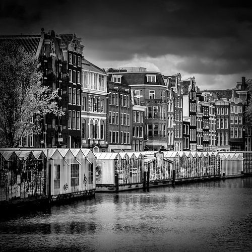 AMSTERDAM Bloemenmarkt sur Melanie Viola