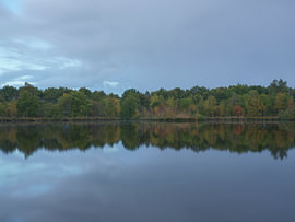 Autumn in Holtingerveld – Drenthe (Netherlands) by Marcel Kerdijk