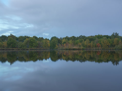 Herbst im Holtingerveld – Drenthe (Niederlande)
