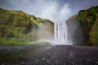 Regenboog