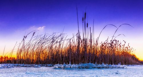 L'hiver aux Pays-Bas