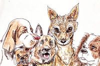 Chiens
