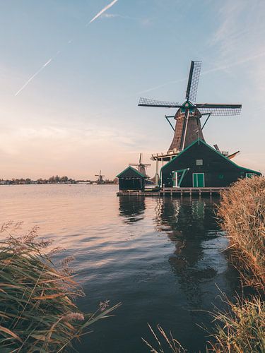 Windmolen met vliegtuigstreep in Zaanse Schans net na zonsondergang