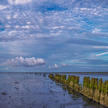 Moddergat - Waddenzee van Teun Ruijters