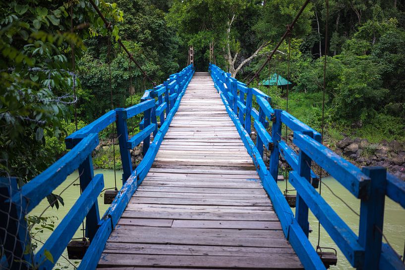 Wood bridge in jungle von Arkadiusz Kurnicki