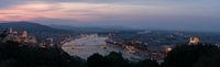 Boedapest panorama van Ruben Van der Sanden thumbnail