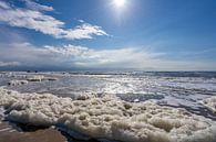 Schöne Küstenlinie mit zwei wandernden Surfern im Hintergrund von Dafne Vos Miniaturansicht