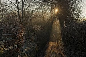 Himmlischer Sonnenaufgang in Elzet