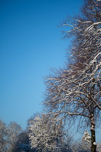 Sereniteit 6