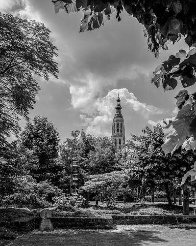 Breda - Willem Merkxtuin - Zwart Wit