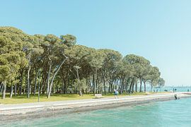 Viale Vittorio Veneto sur Michael Schulz-Dostal