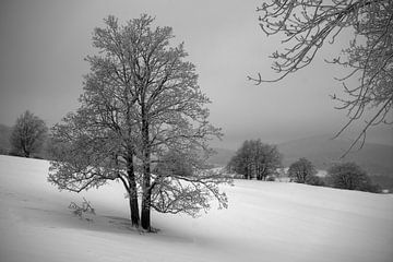 Winterlandschap in de Rhön van Flatfield