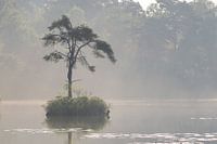 small island