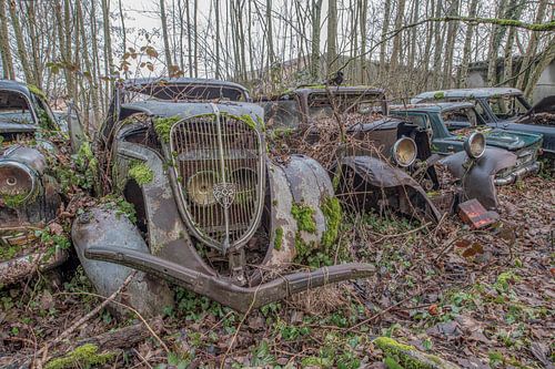Verlaten Oldtimer In het Bos