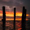 Silhouette au bord de la mer des Wadden : pieux en bois au coucher du soleil sur Pitkovskiy Photography|ART