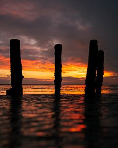 Silhouette am Wattenmeer: Holzpfähle bei Sonnenuntergang