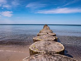 Buhne aan de Oostzee in Duitsland van Animaflora PicsStock