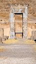 Persepolis / Parsa van Maarten Verhees thumbnail