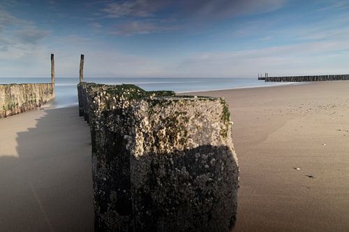 North Sea beach posts