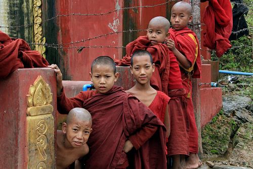 Young Buddhist monks in Myanmar