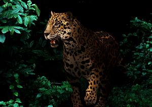 Ein Panther im Schatten