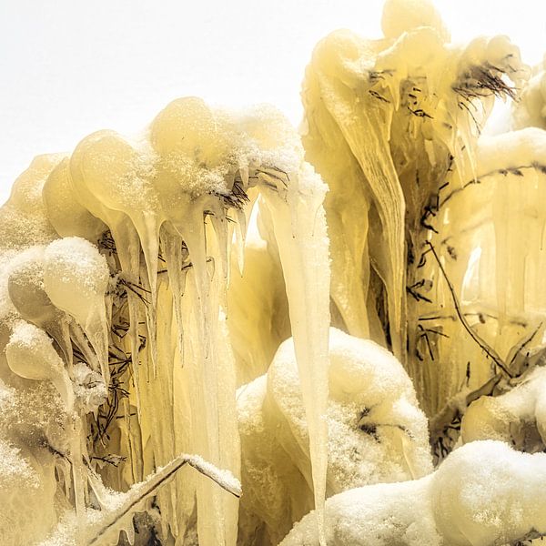 Sculpture de glace par Peter Bolman