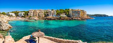 Panorama uitzicht op Cala Blanca, Es Castellot van Alex Winter