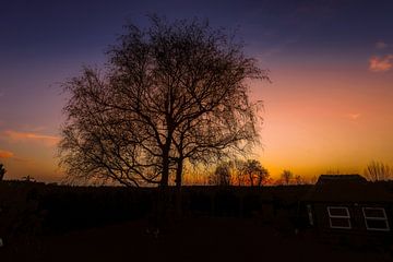 Zonsondergang betuwe van wsetten