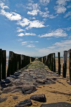 Brise-lames sans fin sur la plage de Zoutelande sur Thomas Poots