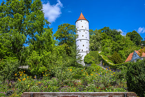 Baden-Württemberg : Sommerliche Blütenpracht am Fuße des Weißen Turms