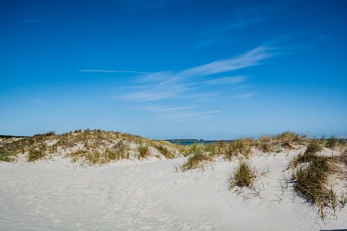 Duinen in Prerow