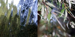 Diptych of water and land, montage 2 images make one. Amsterdam sur Anne Hana