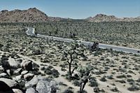Joshua Tree National Park