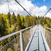 Beautiful WildLine bridge through the Black Forest in Germany by Evelien Oerlemans
