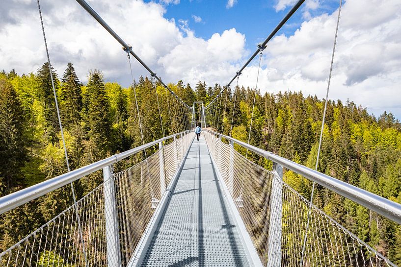 Prachtige WildLine brug door het Zwarte Woud in Duitsland van Evelien Oerlemans