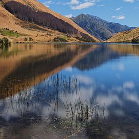 Queenstown sur Dyon Klaassen