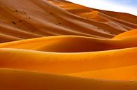 Lijnen in de woestijn van Sam Mannaerts thumbnail
