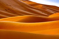 Lignes dans le désert