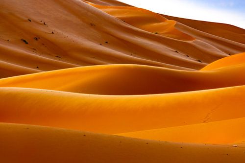 Lignes dans le désert