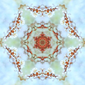 Mandala in soft colours