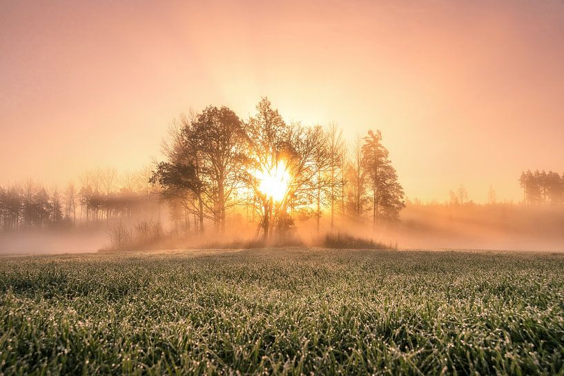 new morning by Marc Hollenberg