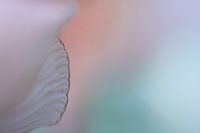 Abstract 8