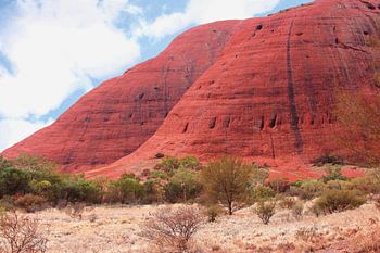 Kata Tjuta (Olgas) Australien