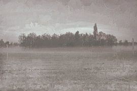 Forêt entourée de brumes sur Geert Van Baelen